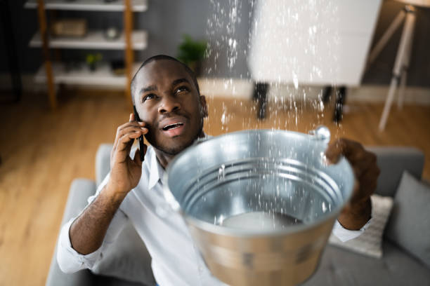 Best Water damage repair service  in Fredonia, NY