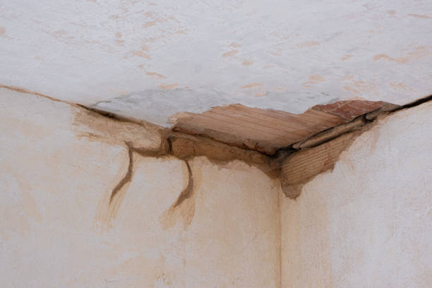 Best Commercial water damage restoration  in Fredonia, NY