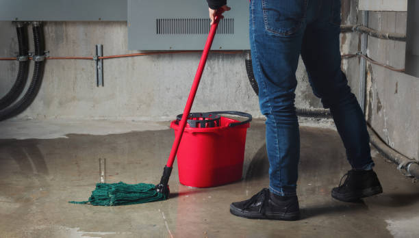 Best 24/7 water damage repair  in Fredonia, NY