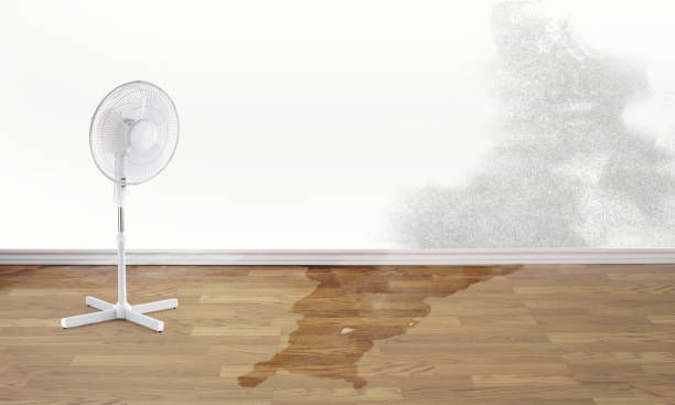 Best Water damage repair service  in Fredonia, NY