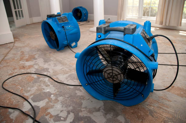 Best Flooded house restoration  in Fredonia, NY