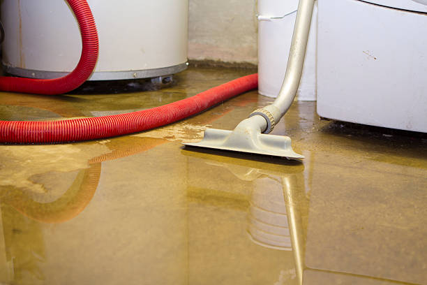Best Local water damage restoration  in Fredonia, NY