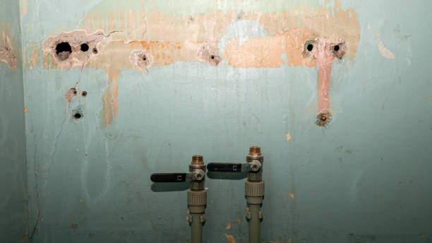 Best Emergency water damage restoration  in Fredonia, NY